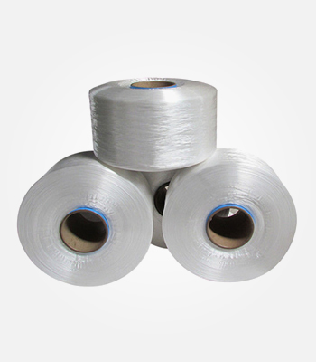 Homo polymer