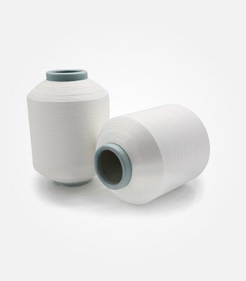 Homo polymer